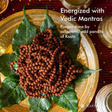 Rudraksha Mala | Pancha Mukhi | Energized with Mantras