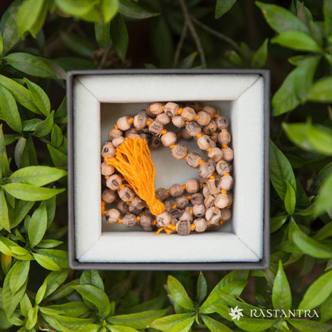 Natural Tulsi Mala | Energized with Mantras
